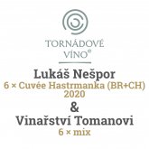 Benefiční aukce Tornádové víno na pomoc vinařům zasaženým tornádem