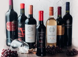 Vína z Jižní Ameriky: Jaký bude ročník 2021?
